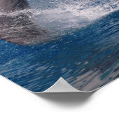 Aus dem Wasser stehende Dolphin Poster (Ecke)