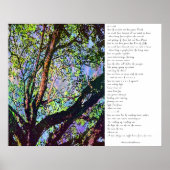 Aus den Bäumen Poster (Vorne)