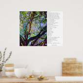 Aus den Bäumen Poster (Küche)