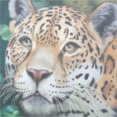 Aus den Schatten Aufkleber (Vorderseite)