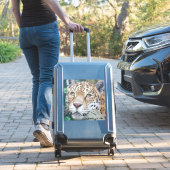 Aus den Schatten Aufkleber (Koffer Insitu)