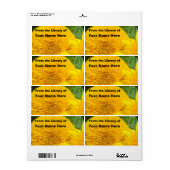 Aus der Bibliothek "Individuelle Name" Sonnenblume (Vorne)