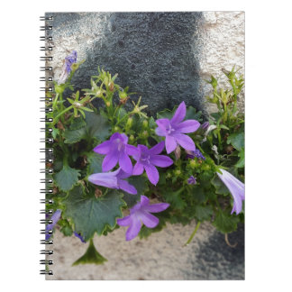 aus der Blume Notizblock