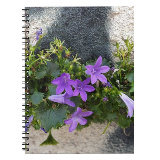 aus der Blume Notizblock (Vorderseite)