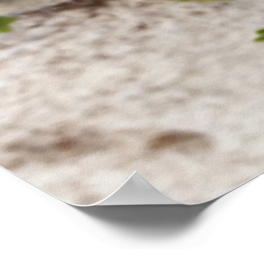 aus der Blume Poster (Ecke)