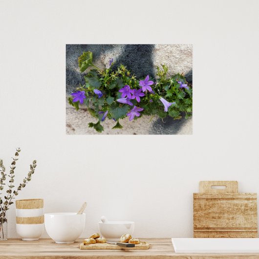 aus der Blume Poster (Küche)