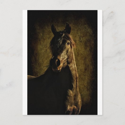 Aus der Dunkelheit Postkarte (Vorderseite)