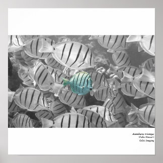 Aus der Menge stehend Poster