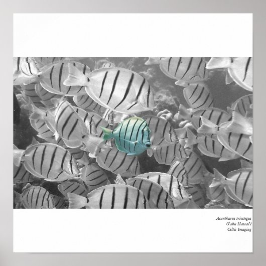 Aus der Menge stehend Poster (Vorne)