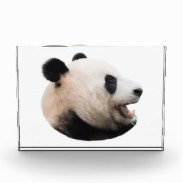 Aus einem Panda schneiden Fotoblock