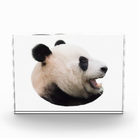 Aus einem Panda schneiden Fotoblock (Vorderseite)