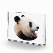 Aus einem Panda schneiden Fotoblock (Rechts)