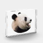 Aus einem Panda schneiden Fotoblock (Links)