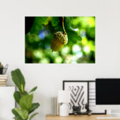 Aus kleinen Eichen wachsen mächtige Eichen Poster (Heimbüro)