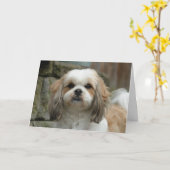 "Aus Knochen heraus" Haustier-Spaß-Gruß-Karte Karte (Gelbe Blume)