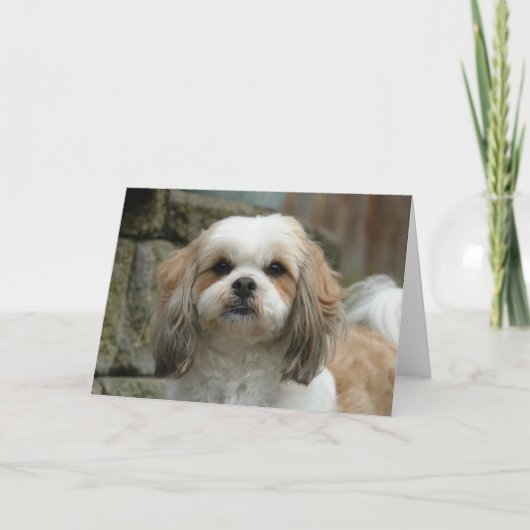 "Aus Knochen heraus" Haustier-Spaß-Gruß-Karte Karte (Vorderseite)