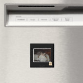 Aus Mangel an Interesse Magnet (In Situ (Geschirrspüler))