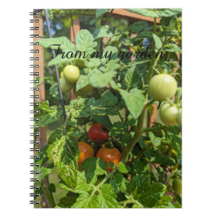 Aus meinem Garden Spiral Foto Notebook Notizblock