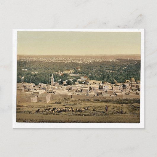 Aus Sallah, Damaskus, Heiliges Land (d.h. Syrien)  Postkarte (Vorderseite)