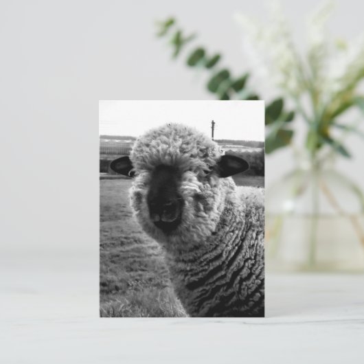 Aus Sicht M-a-a-a-n Postkarte (Stehend Vorderseite)