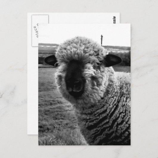 Aus Sicht M-a-a-a-n Postkarte (Vorne/Hinten)