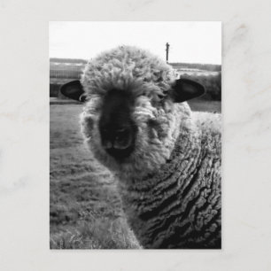 Aus Sicht M-a-a-a-n Postkarte