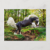 "Aus zeigen" Postkarte (Vorderseite)