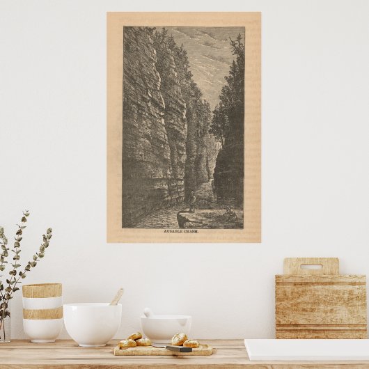 Ausable Chasm Poster (Küche)
