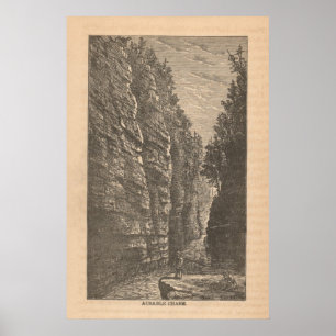 Ausable Chasm Poster