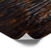 AuSable River in den Adirondacks. 08 092 Poster (Ecke)