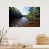 AuSable River in den Adirondacks. 08 092 Poster (Küche)