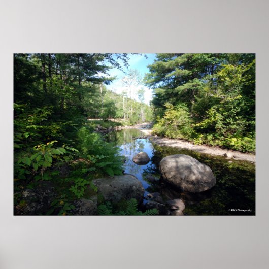 AuSable River in den Adirondacks. Druck 120 Poster (Vorne)