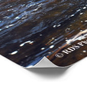 AuSable River in the Adirondacks, Print 08 305 Poster (Ecke)