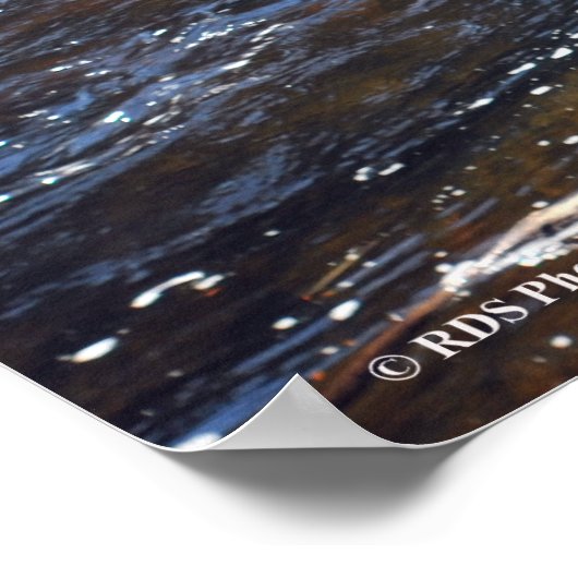 AuSable River in the Adirondacks, Print 08 305 Poster (Ecke)