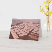 Ausbaggern der Insel, Marco Insel, Florida, Karte (Gelbe Blume)