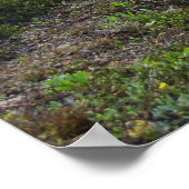 Ausbildung eines Kindes... Poster (Ecke)