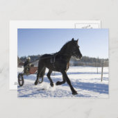 Ausbildung von Pferden in einer winterlichen Lands Postkarte (Vorne/Hinten)