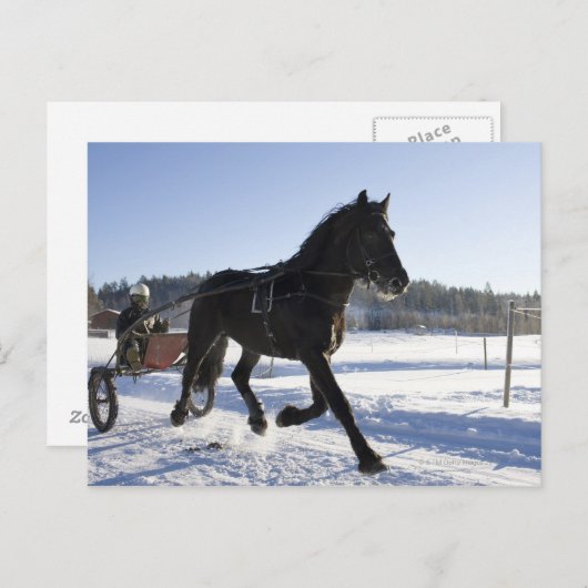 Ausbildung von Pferden in einer winterlichen Lands Postkarte (Vorne/Hinten)