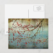 Ausblenden Postkarte (Vorne/Hinten)