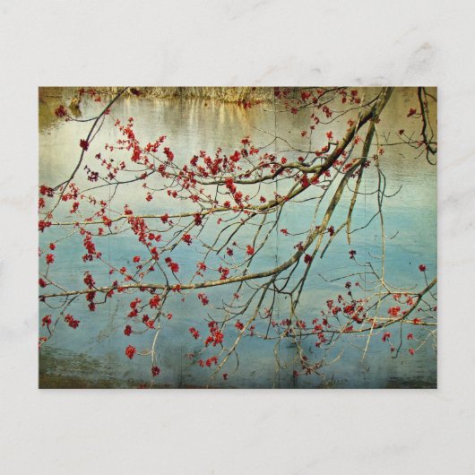 Ausblenden Postkarte (Vorderseite)