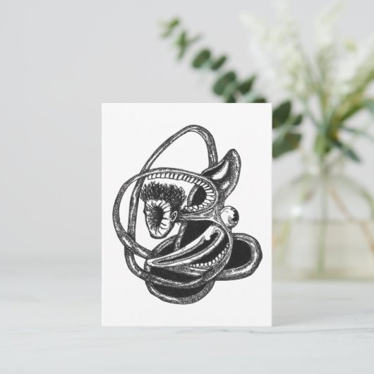 Ausblenden Postkarte (Stehend Vorderseite)