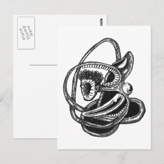 Ausblenden Postkarte (Vorne/Hinten)