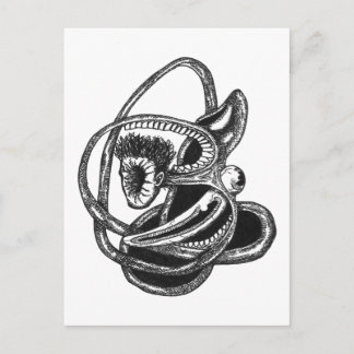 Ausblenden Postkarte