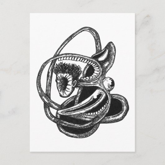 Ausblenden Postkarte (Vorderseite)