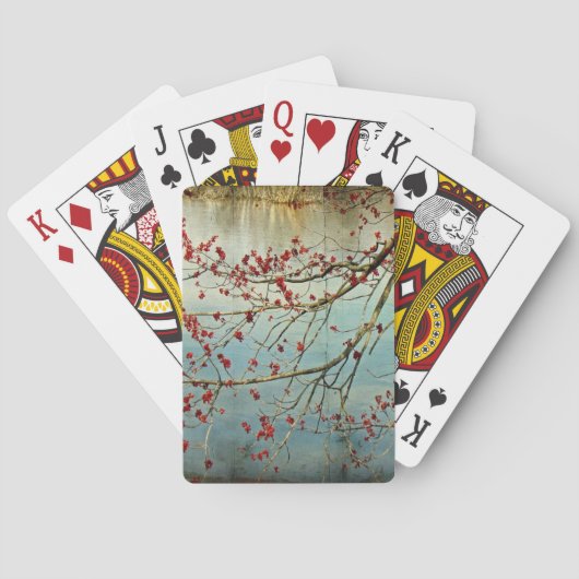 Ausblenden Spielkarten (Rückseite)