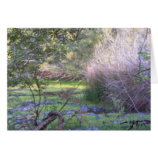 Ausblenden und Suchen (Vorderseite (Horizontal))