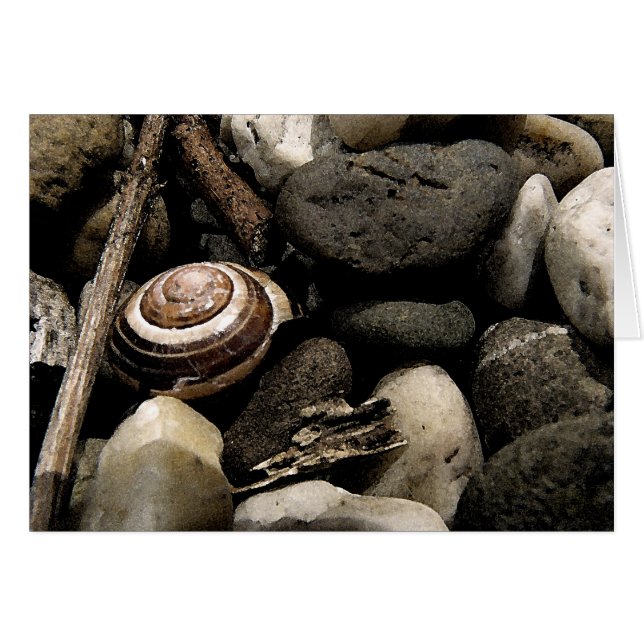 Ausblenden und Suchen (Vorderseite (Horizontal))