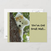 Ausblenden und Suchen Postkarte (Vorne/Hinten)