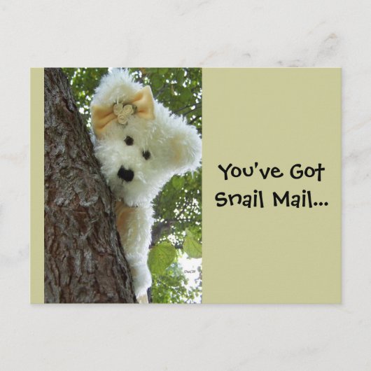 Ausblenden und Suchen Postkarte (Vorderseite)