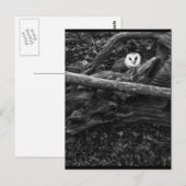 Ausblenden und Suchen Postkarte (Vorne/Hinten)